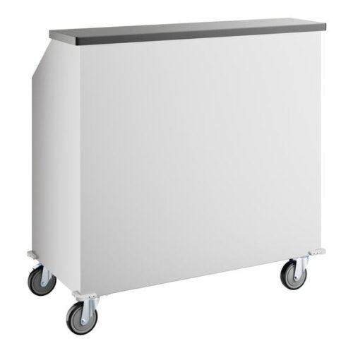 Regency 48" Basic Stainless Steel Portable Bar with Two Removable Speed Rails and Ice Bin